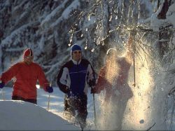Langlaufspass_Schladming-Dachstein