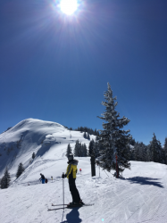 Pulverschnee-Reiteralm
