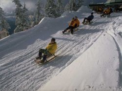 Rodelgaudi_Schladming-Dachstein