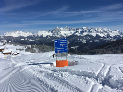 forstau2018